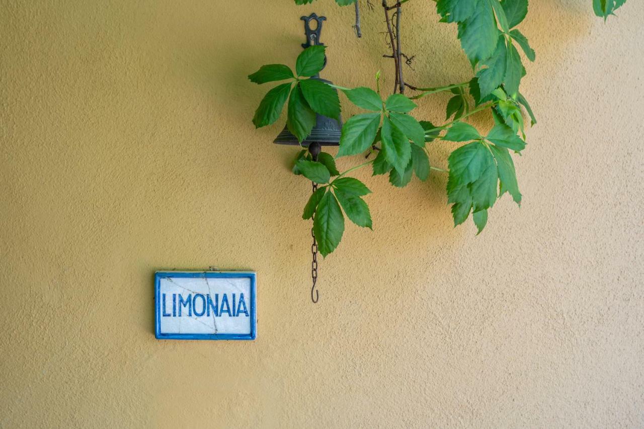 Il Palazzetto Guest House Siena Exterior photo